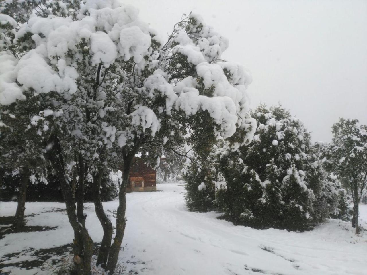 Camping Casa Fausto Cerca De Dinopolis Formiche Alto Bagian luar foto
